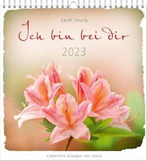 Ich bin bei dir 2023 - Wandkalender - Sarah Young - Merchandise - Gerth Medien GmbH - 9783957348548 - 4. august 2022