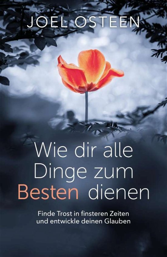 Cover for Osteen · Wie dir alle Dinge zum Besten di (Book)