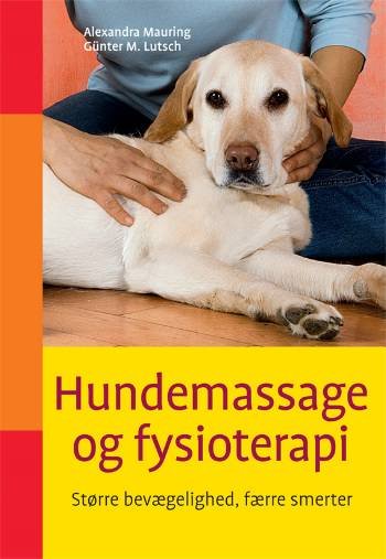 Hundemassage og fysioterapi - Alexandra Mauring Günter M. Lutsch - Libros - Atelier - 9788778575548 - 1 de octubre de 2008