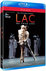 Lac Des Cygnes - Pyotr Ilyich Tchaikovsky - Film - OPUS ARTE - 0809478071549 - 13. oktober 2014