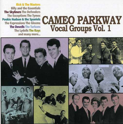 Remember Me Baby:cameo Parkway Vocal Groups - Remember Me Baby: Cameo Parkwa - Musik - Real Gone - 0848064000549 - 12. März 2012