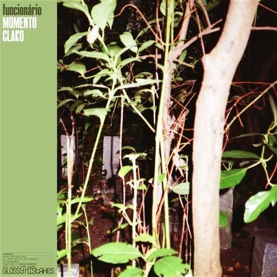 Cover for Funcionario · Momento Claro (LP) (2024)