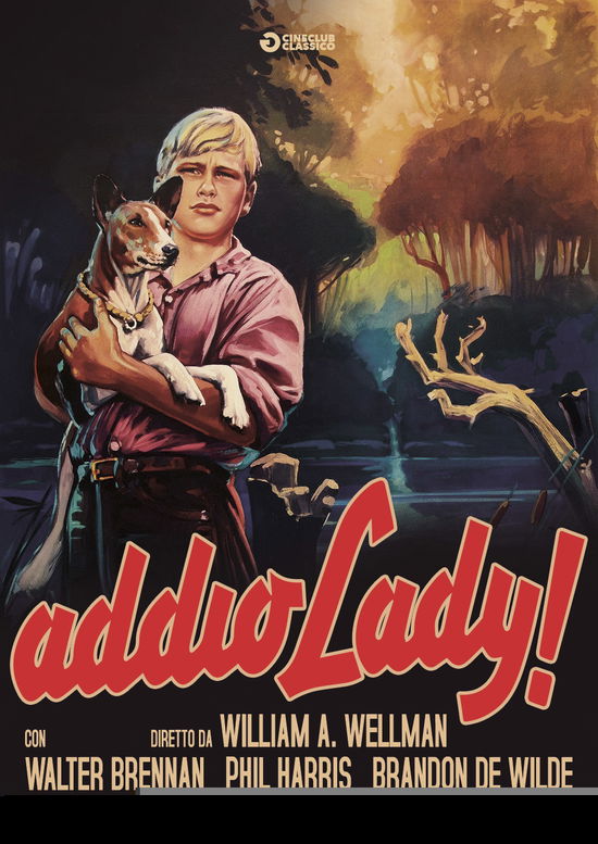 Cover for Addio Lady! (Rimasterizzato in (DVD) (2017)