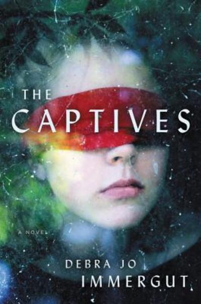 The Captives: A Novel - Debra Jo Immergut - Kirjat - HarperCollins - 9780062747549 - tiistai 5. kesäkuuta 2018