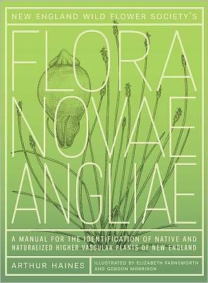 Cover for Arthur Haines · New England Wild Flower Society's Flora Novae Angliae: A Manual for the Identification of Native and Naturalized Higher Vascular Plants of New England (Hardcover Book) (2011)