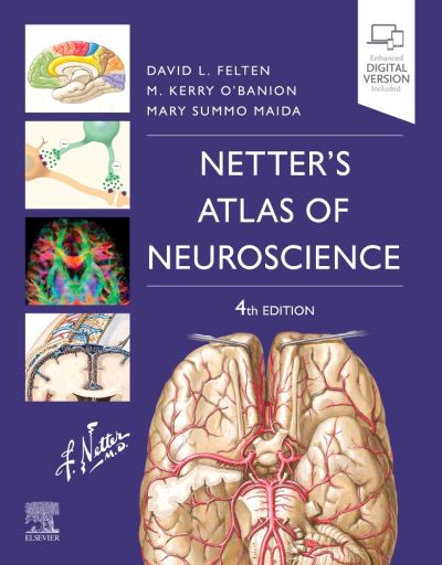 Netter's Atlas of Neuroscience - Netter Basic Science - Felten, David L. (Distinguished Scholar in Residence, Division of Applied Health and Wellness, Keuka College, Keuka Park, New York, USA) - Books - Elsevier - Health Sciences Division - 9780323756549 - September 24, 2021