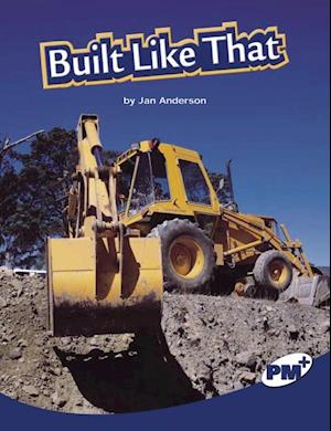 Cover for Rigby · Built Like That (Buch) (2003)