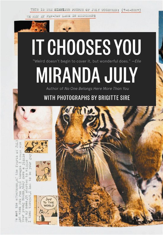 It Chooses You - Miranda July - Libros - Canongate Books Ltd - 9780857862549 - 1 de diciembre de 2011