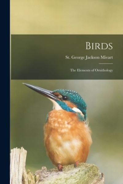 Cover for St George Jackson 1827-1900 Mivart · Birds: the Elements of Ornithology (Paperback Book) (2021)