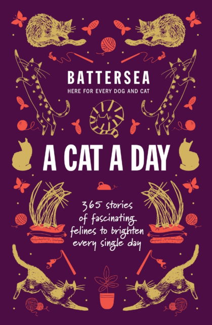 Cover for Home, Battersea Dogs and Cats · Battersea Dogs and Cats Home - A Cat a Day: 365 stories of fascinating felines to brighten every day (Taschenbuch) (2024)