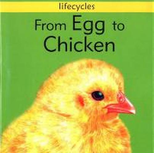 Cover for Gerald Legg · Lifecycles: From Egg To Chicken - Lifecycles (Paperback Book) (2014)