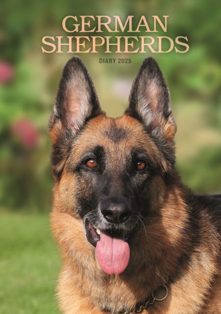 Cover for Carousel Calendars · German Shepherds A5 Diary 2025 (Paperback Book) (2024)