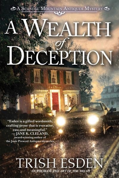 Cover for Trish Esden · A Wealth of Deception (Hardcover Book) (2023)