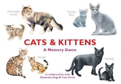 Match the Cats and Kittens - Marcel George - Książki - King Publishing, Laurence - 9781786271549 - 1 maja 2018