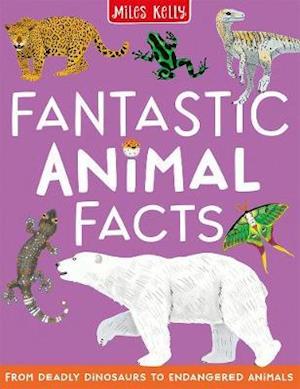 Cover for Belinda Gallagher · Fantastic Animal Facts (Paperback Book) (2020)