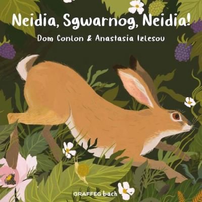 Cover for Dom Conlon · Neidia, Sgwarnog, Neidia! (Taschenbuch) (2022)