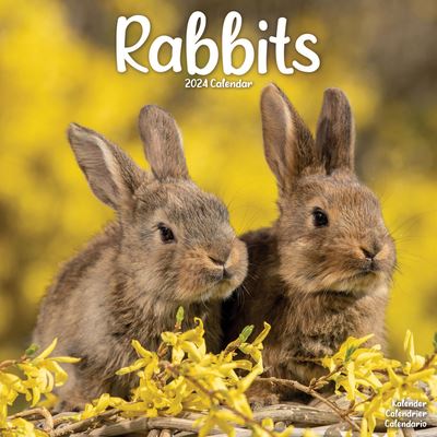 Avonside Publishing Ltd · Rabbits Calendar 2024 Square Animal Wall ...