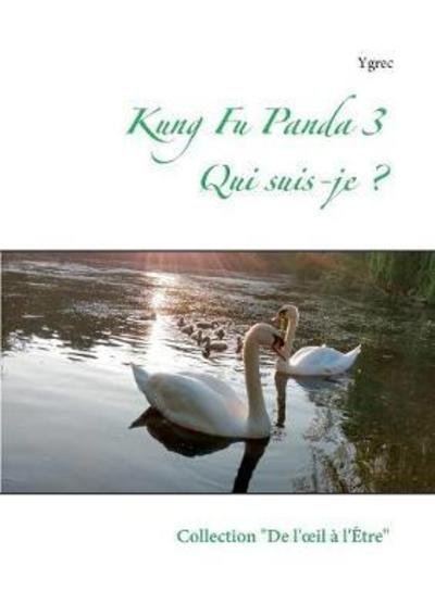 Cover for Ygrec · Kung Fu Panda 3 (Book) (2018)