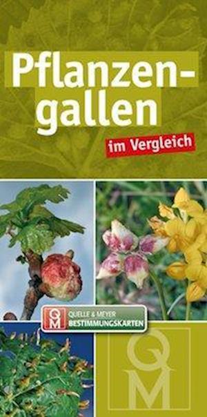 Pflanzengallen im Vergleich - Quelle & Meyer Verlag - Books - Quelle + Meyer - 9783494017549 - October 16, 2018