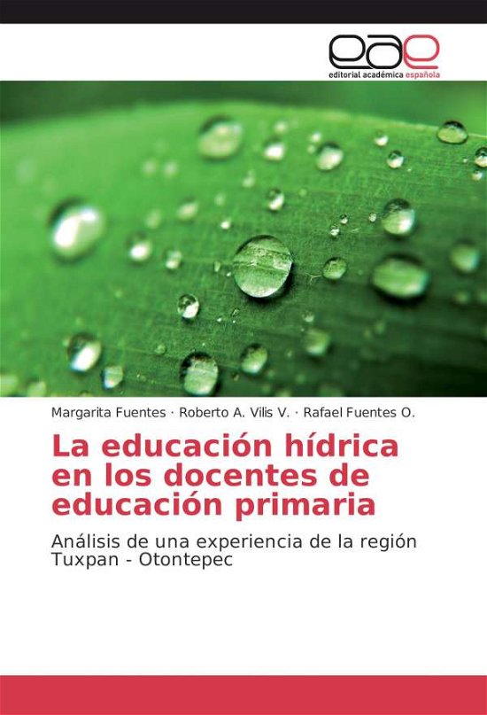 Cover for Fuentes · La educación hídrica en los doc (Bog)