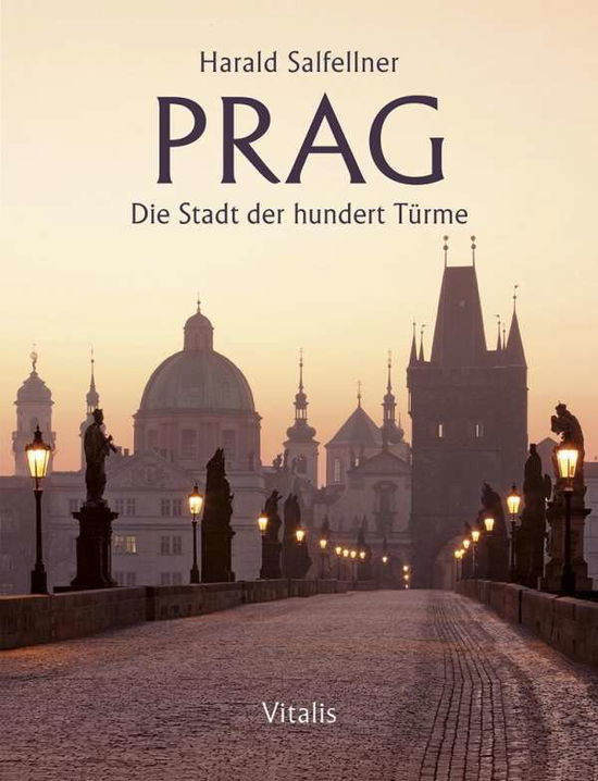 Cover for Salfellner · Prag (Book)