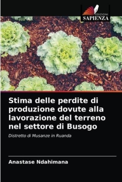 Cover for Anastase Ndahimana · Stima delle perdite di produzione dovute alla lavorazione del terreno nel settore di Busogo (Paperback Book) (2021)