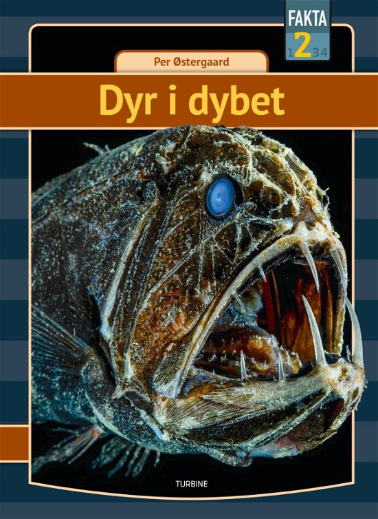 Fakta 2: Dyr i dybet - Per Østergaard - Bücher - Turbine - 9788740663549 - 29. Juli 2020