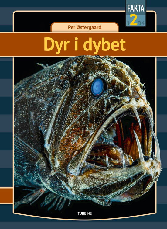 Cover for Per Østergaard · Fakta 2: Dyr i dybet (Innbunden bok) [1. utgave] (2020)