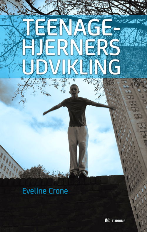 Cover for Eveline Crone · Teenagehjerners udvikling (Sewn Spine Book) [1. Painos] (2013)