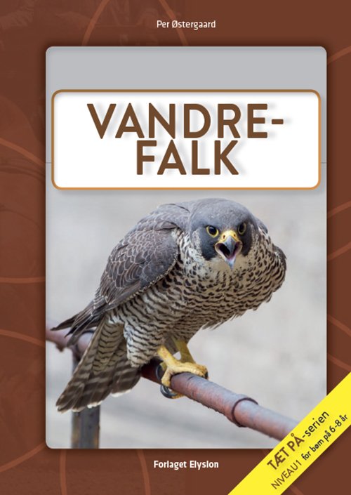Cover for Per Østergaard · Tæt på-serien: Vandre-falk (Hardcover Book) [1º edição] (2019)