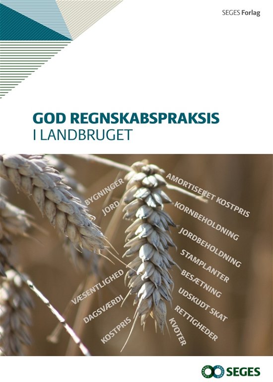 God regnskabspraksis i landbruget - Kim Wegener - Böcker - SEGES - 9788793050549 - 14 mars 2017