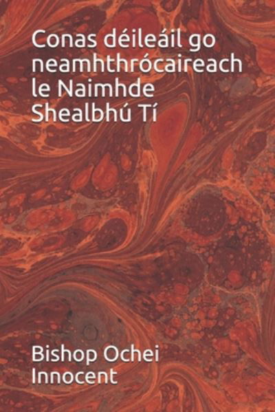 Cover for Bishop Ochei Innocent · Conas deileail go neamhthrocaireach le Naimhde Shealbhu Ti (Taschenbuch) (2020)