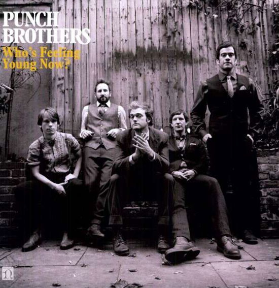 Cover for Punch Brothers · Who's Feeling Young Now (LP) (2012)