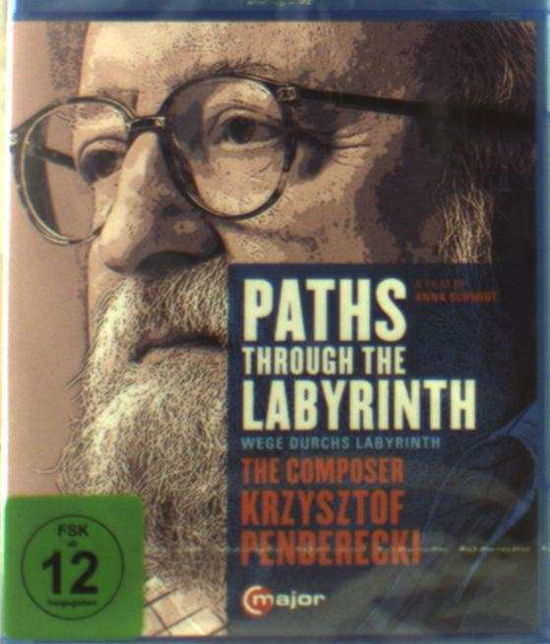 Cover for Paths Through the Labyrinth (Blu-ray) (2014)