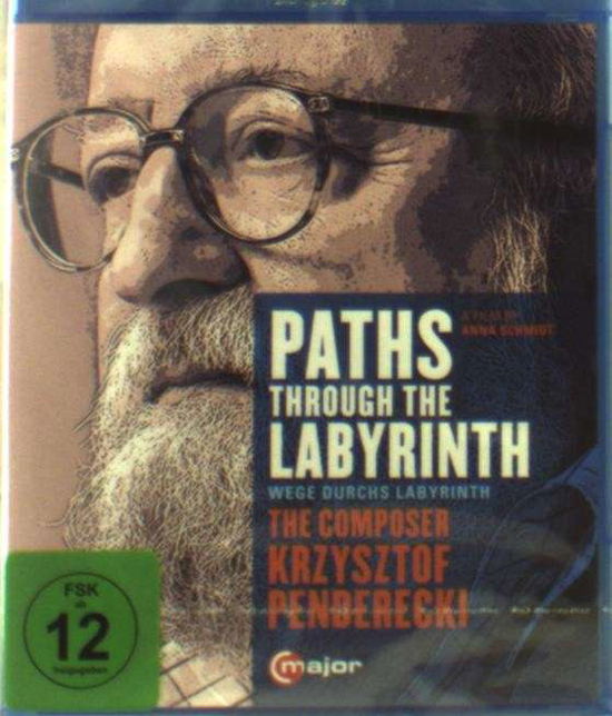 Cover for Paths Through the Labyrinth (Blu-Ray) (2014)