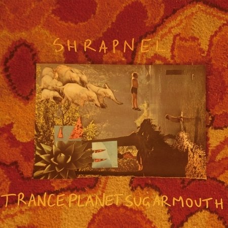 Cover for Shrapnel · Tranceplanetsugarmouth (LP) (2016)