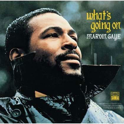 What's Going On - Marvin Gaye - Música - PAZZAZZ - 4988005653550 - 25 de maio de 2011