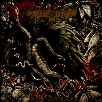 Cover for Svartsyn · Black Testament (CD) (2013)