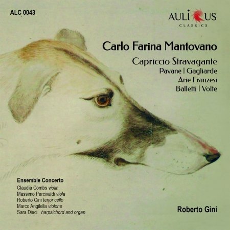 Capriccio Stravagante - Roberto Gini - Musiikki - AULICUS CLASSICS - 8015948504550 - perjantai 24. syyskuuta 2021