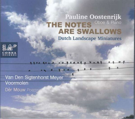 Notes Are Swallows, Dutch Landscape Miniatures - Pauline Oostenrijk - Music - COBRA - 8713897904550 - May 29, 2020