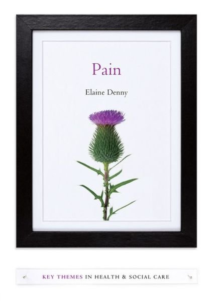 Cover for Denny, Elaine (University of Central England in Birmingham) · Pain: A Sociological Introduction - Key Themes in Health and Social Care (Pocketbok) (2017)