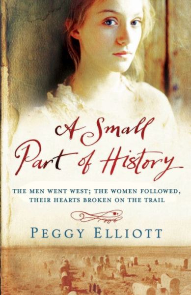 A Small Part of History - A Small Part of History - Books - Headline Publishing Group - 9780755344550 - August 21, 2008