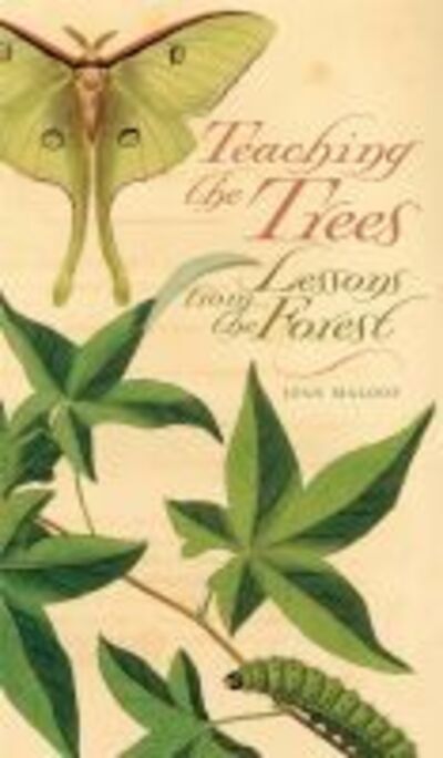 Teaching the Trees: Lessons from the Forest - Joan Maloof - Books - University of Georgia Press - 9780820329550 - March 25, 2007