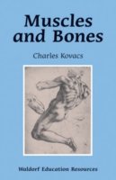 Muscles and Bones - Waldorf Education Resources - Charles Kovacs - Books - Floris Books - 9780863155550 - August 24, 2006