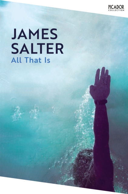 Cover for James Salter · All That Is - Picador Collection (Paperback Book) (2025)