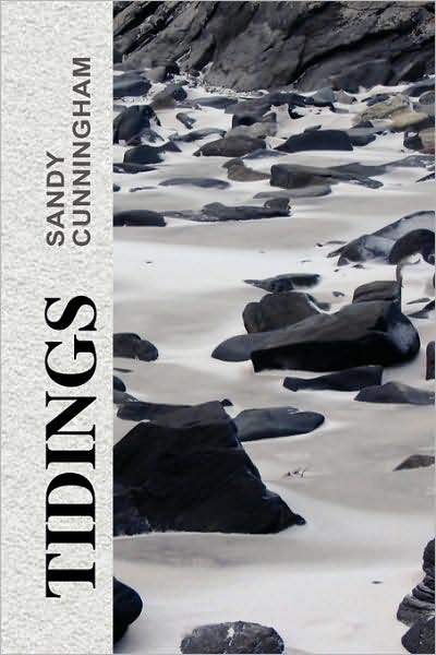 Cover for Sandy Cunningham · Tidings (Paperback Book) (2008)