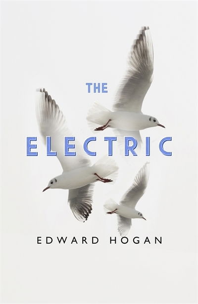 Cover for Edward Hogan · The Electric (Hardcover Book) (2020)