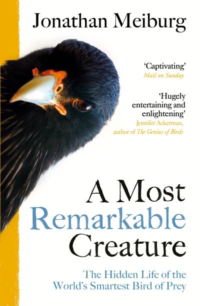 Cover for Jonathan Meiburg · A Most Remarkable Creature: The Hidden Life of the World’s Smartest Bird of Prey (Paperback Book) (2022)