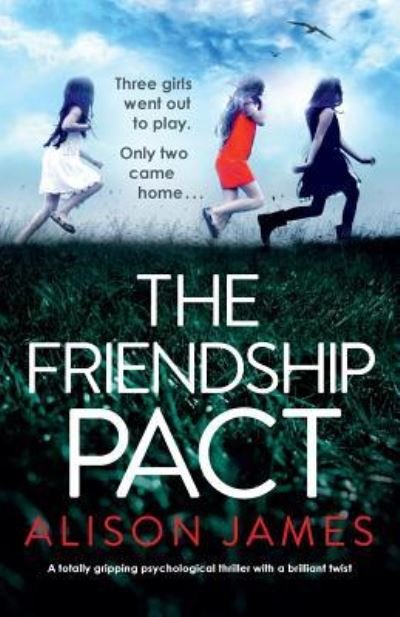Cover for Alison James · The School Friend (Paperback Bog) (2019)