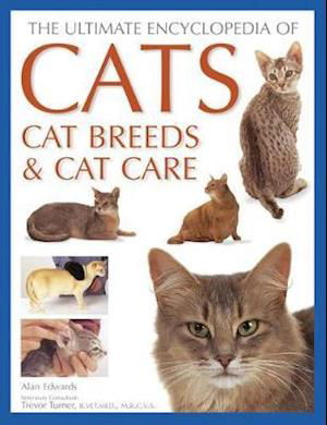Cover for Alan Edwards · Cats, Cat Breeds &amp; Cat Care, The Ultimate Encyclopedia of: A comprehensive visual guide (Paperback Book) (2023)